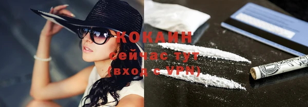 spice Чекалин
