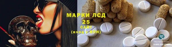 прущие грибы Чердынь