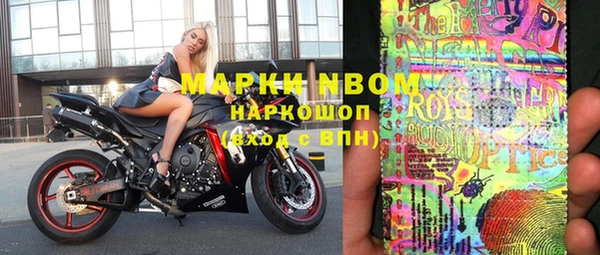 прущие грибы Чердынь