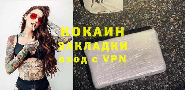 прущие грибы Чердынь
