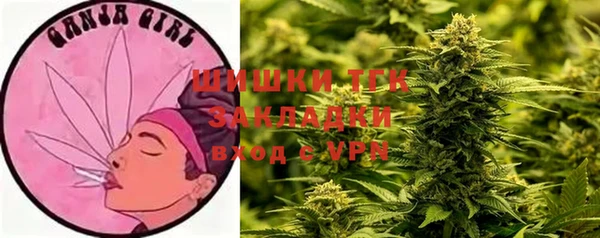 spice Чекалин
